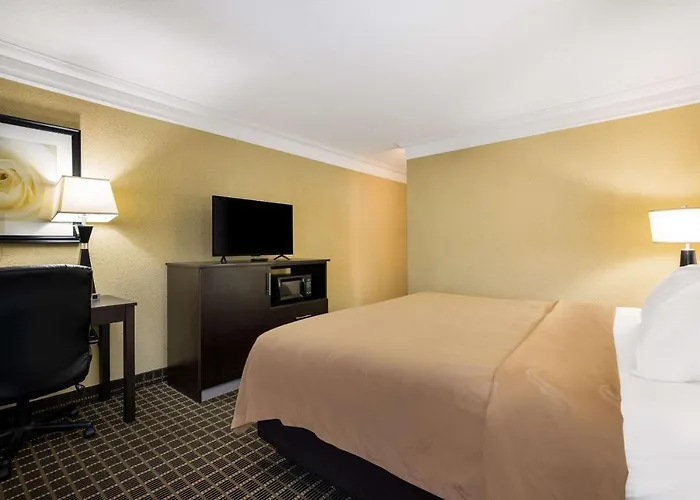 Quality Inn And Suites Fairgrounds - Syracuse